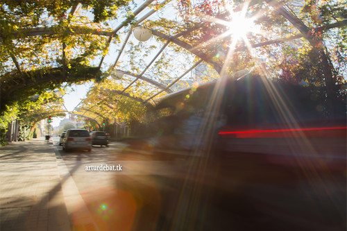 Uber estrena robotaxis en Londres con carros de Wayve