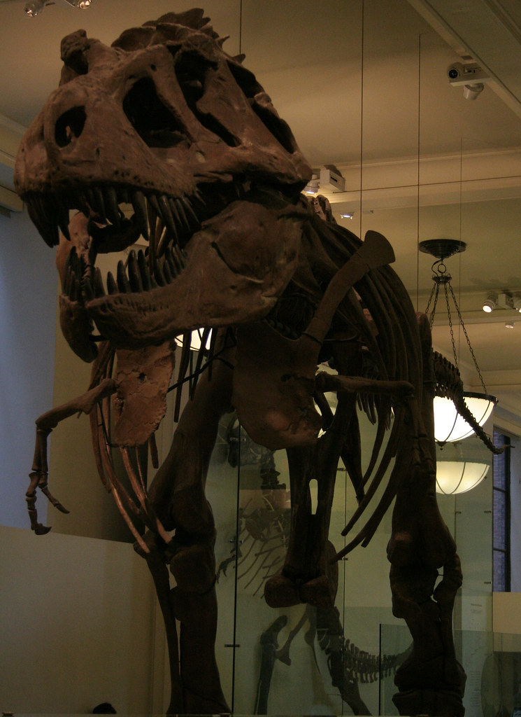 Cierra histórico museo de ciencias con esqueleto de T. Rex