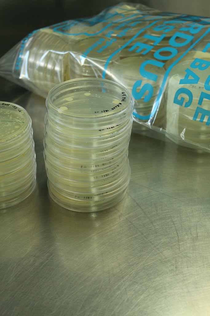 El misterio de los laboratorios antipeste rusos
