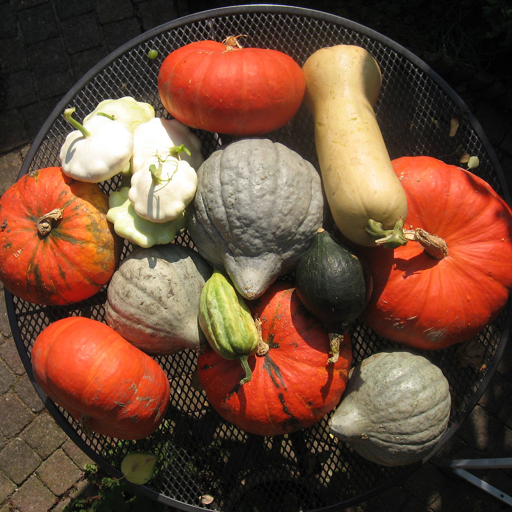 Calabazas de otoño: recetas dulces y saladas que debes probar