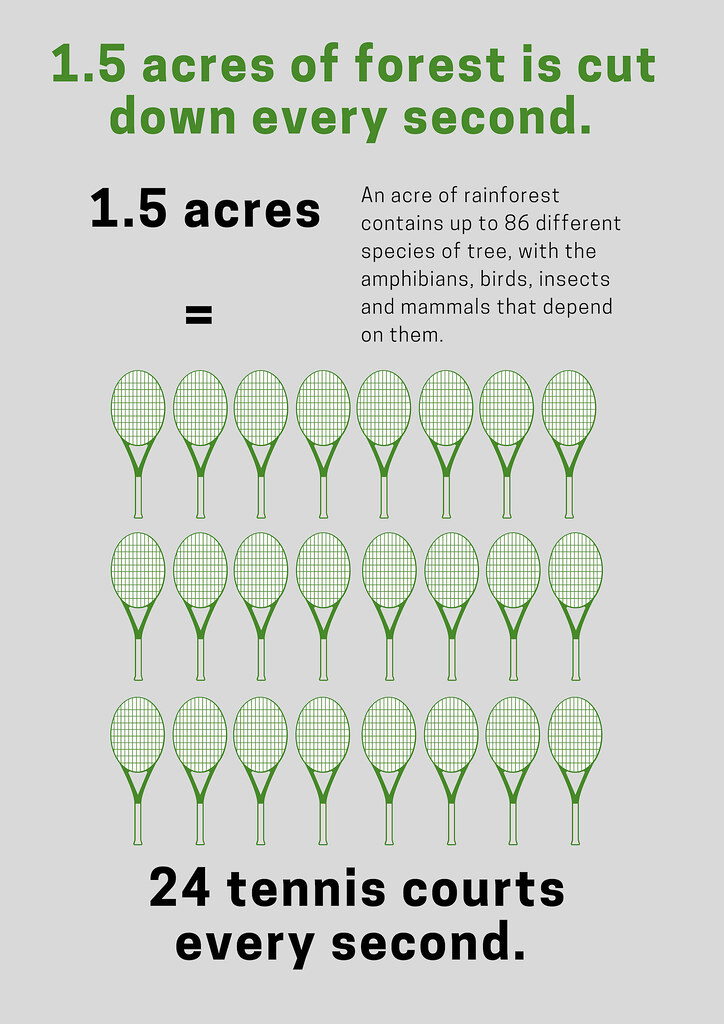 Deforestación en la Amazonía brasileña, la más baja registrada