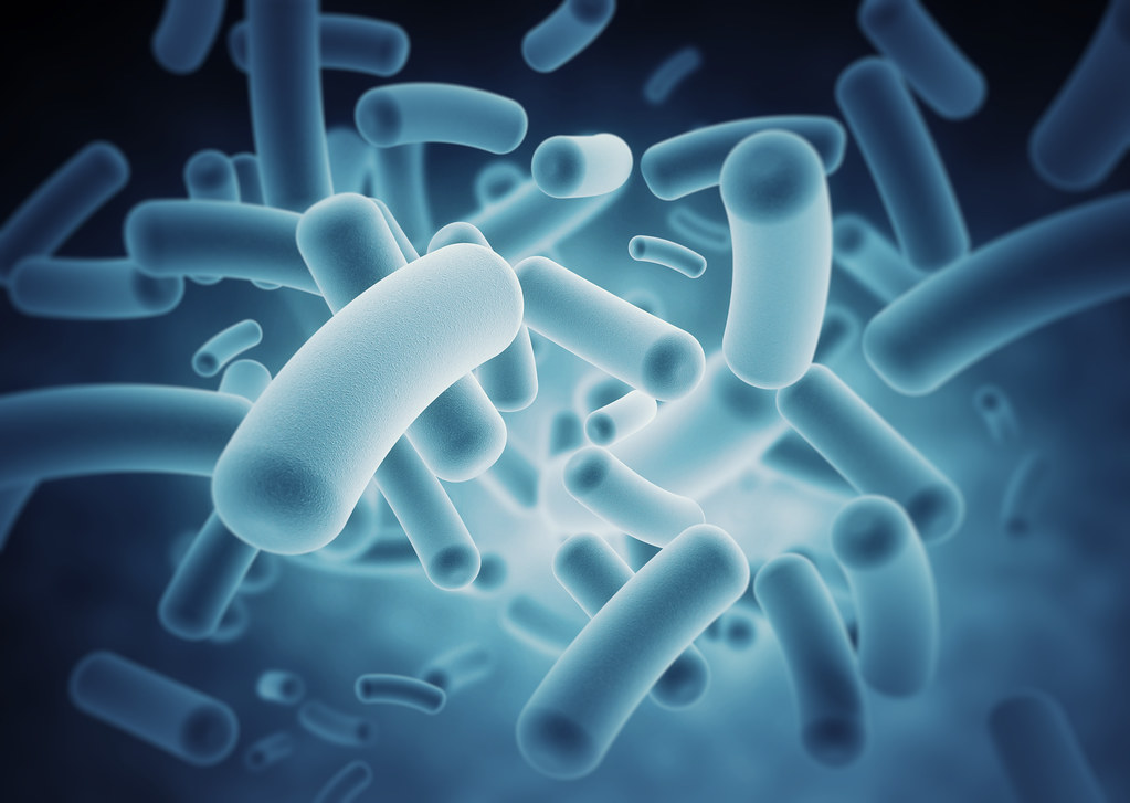 ¿Era más sano el microbioma humano en el pasado?