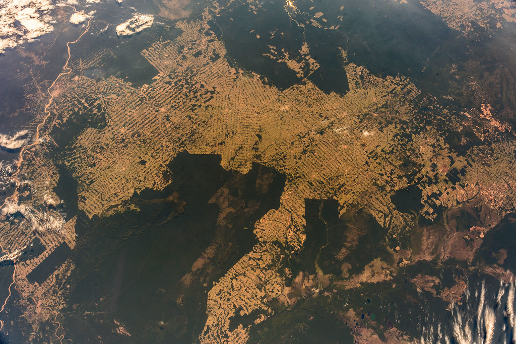 Brasil reduce deforestación en la Amazonía a mínimo histórico